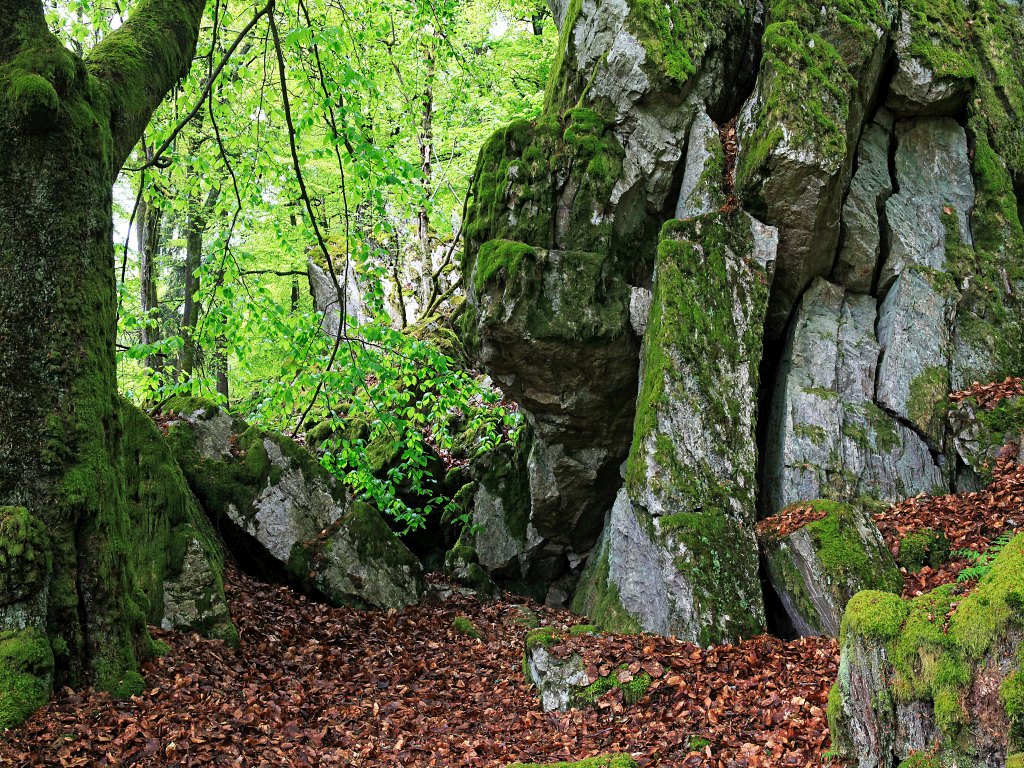 Beilfels (Foto: NP Hunsrück-Hochwald / K. Funk)